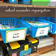 Screen Shot 2015-11-08 at 1.44.54 PM